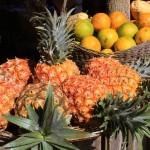 Kuba Urlaub Havanna Essen