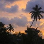 Kuba_Abend_Palme
