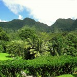Kuba_Landschaft_Berge